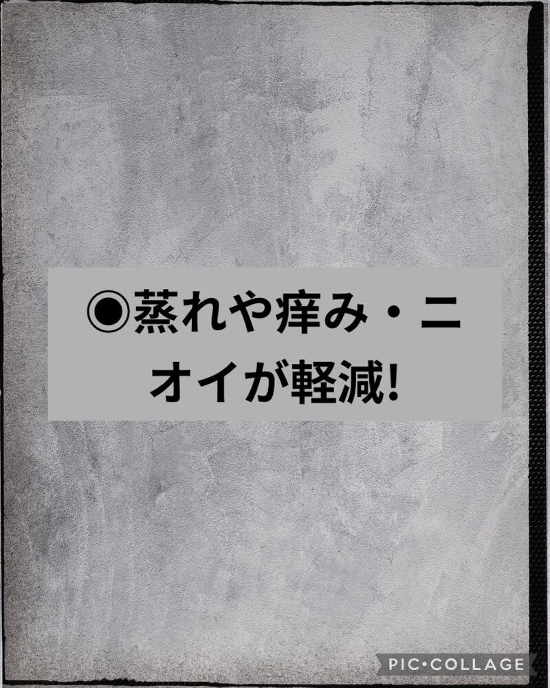 画像1386