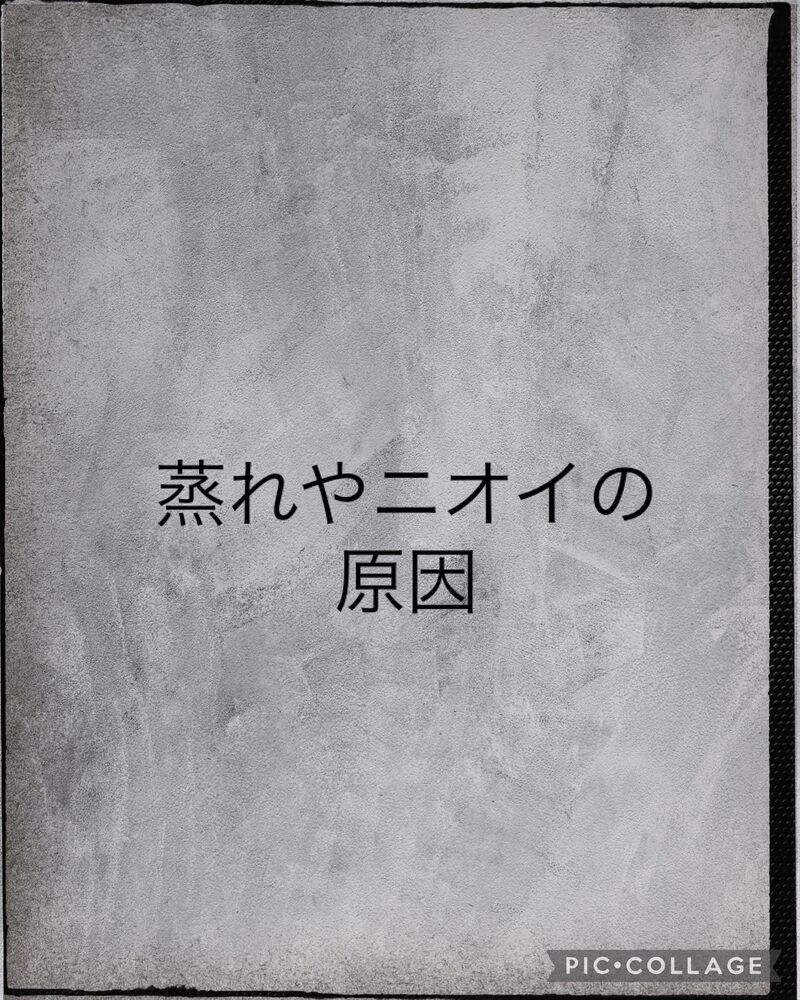 画像1407