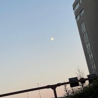画像1455