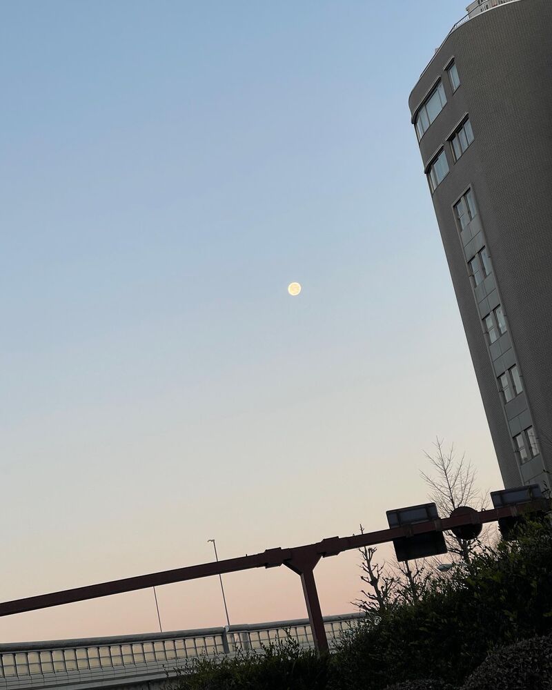 画像1455