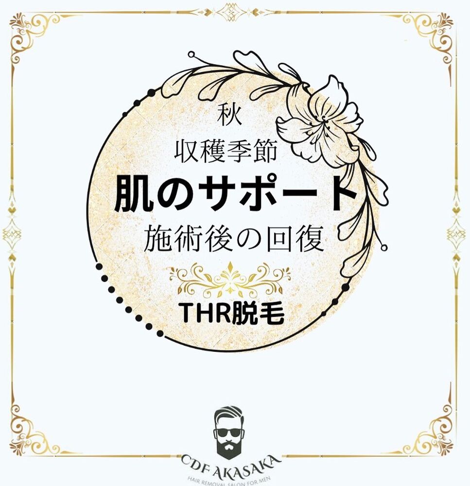 画像1929